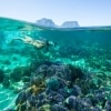 ニュー・サウス・ウェールズ州、ロード・ハウ島 © Trevor King, Destination New South Wales