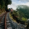 タスマニア州、ストローン、西海岸ウィルダネス鉄道 © Nick Osborne
