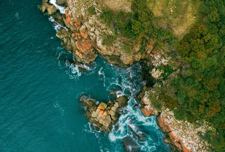 塔斯曼尼亞布尼島崎嶇海岸的高空景致，岩石上長滿橙色地衣，樹木下是海岬和碧綠色的水面©Georges Antoni